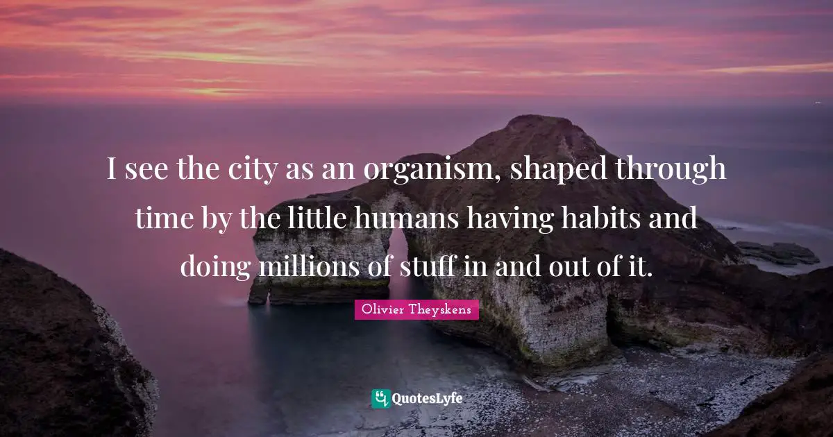 I see the city as an organism, shaped through time by the little humans having habits and doing millions of stuff in and out of it.