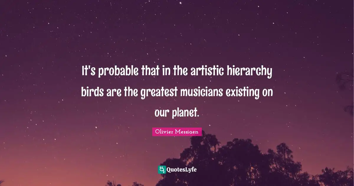 It's probable that in the artistic hierarchy birds are the greatest musicians existing on our planet.