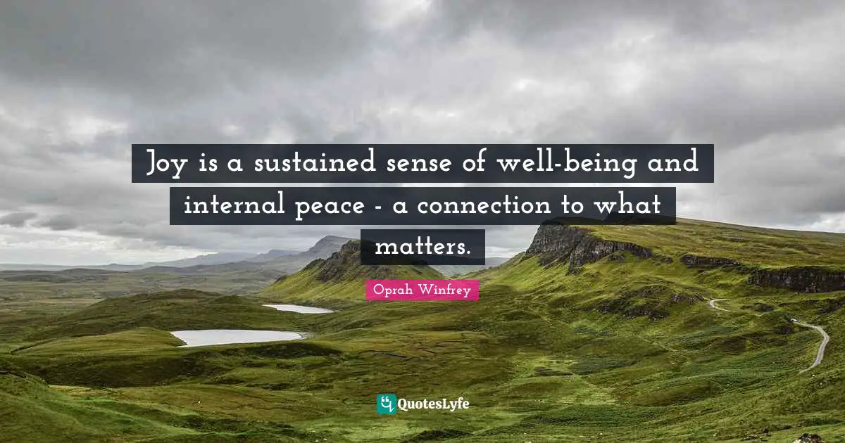 Joy is a sustained sense of well-being and internal peace - a connection to what matters.