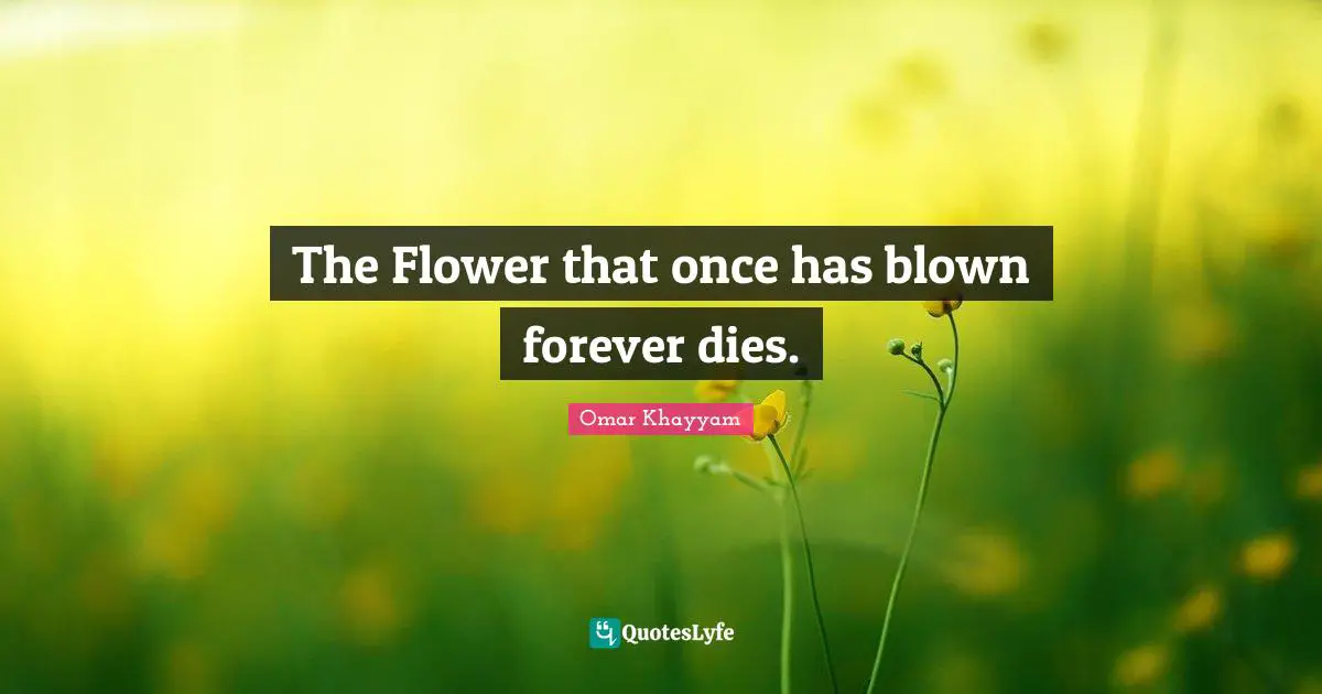 Omar Khayyam Quotes: "The Flower that once has blown forever dies."