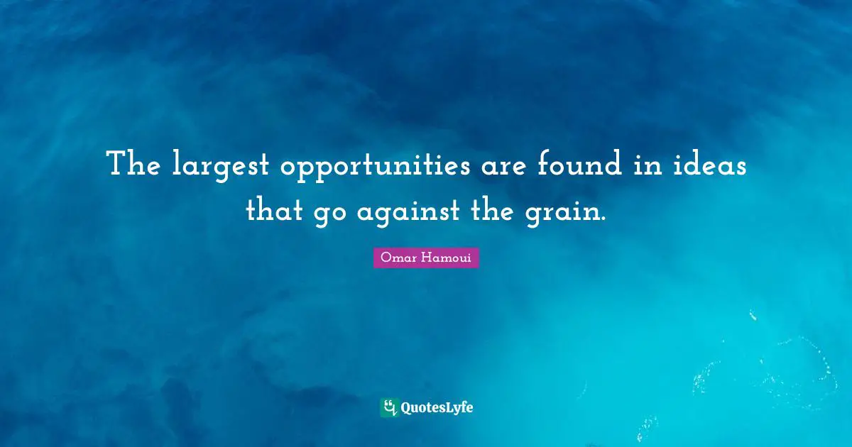 Omar Hamoui Quotes: "The largest opportunities are found in ideas that go against the grain."