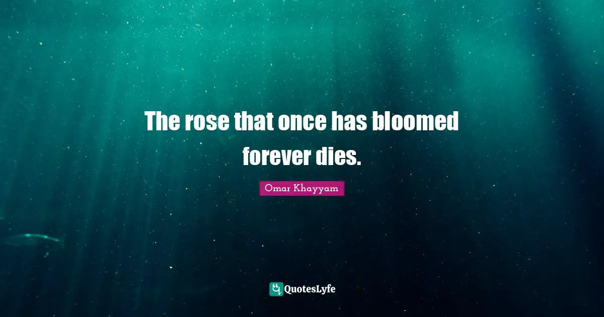 Rose Quotes: "The rose that once has bloomed forever dies."