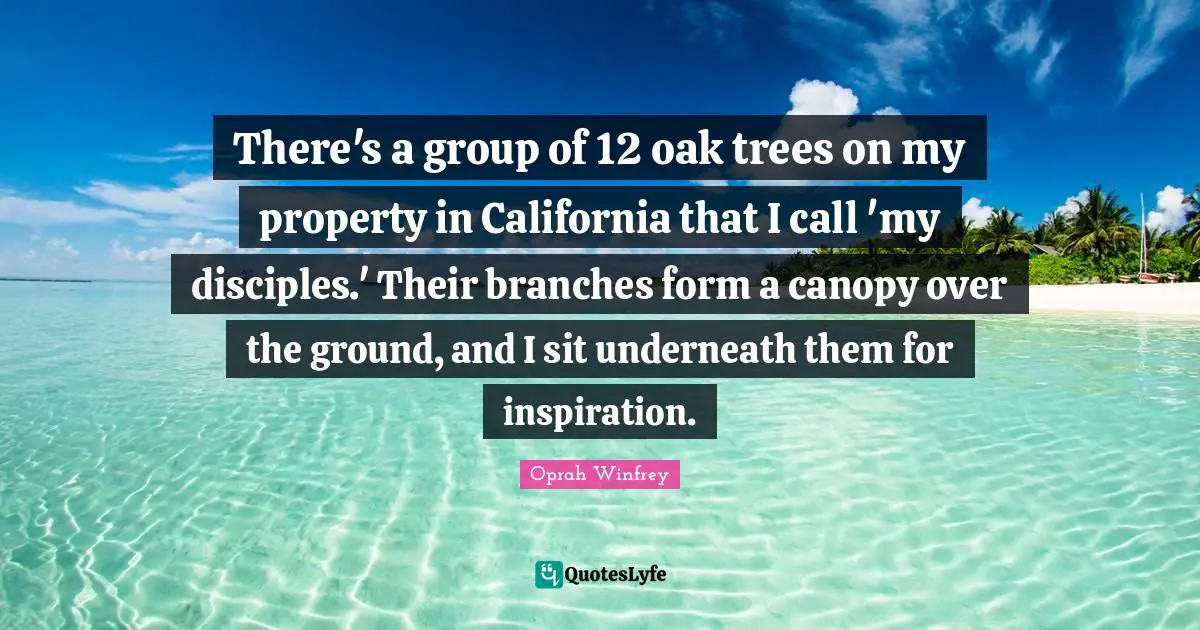 There's a group of 12 oak trees on my property in California that I call 'my disciples.' Their branches form a canopy over the ground, and I sit underneath them for inspiration.