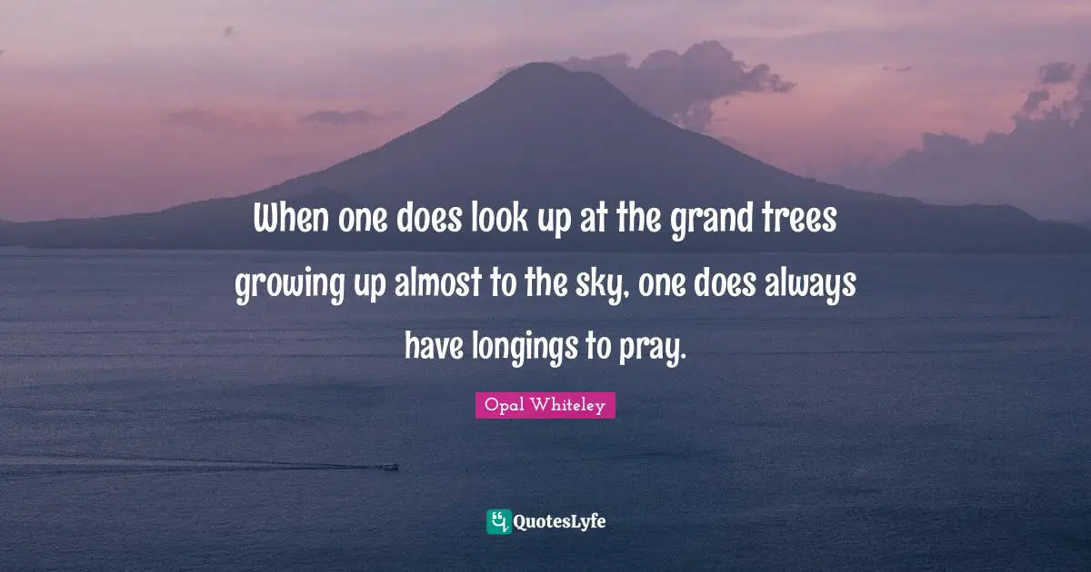 When one does look up at the grand trees growing up almost to the sky, one does always have longings to pray.