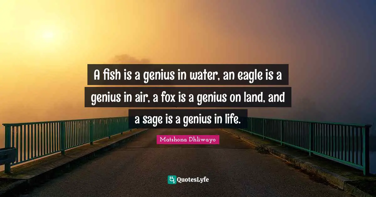 Sage Wisdom Quotes: "A fish is a genius in water, an eagle is a genius in air, a fox is a genius on land, and a sage is a genius in life."