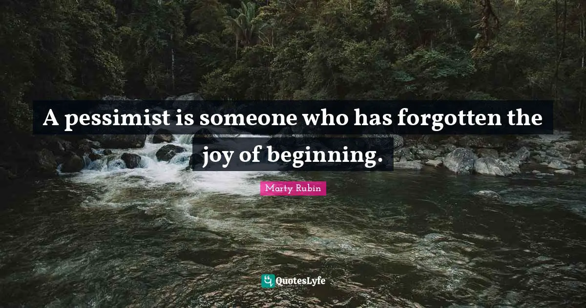 A pessimist is someone who has forgotten the joy of beginning.
