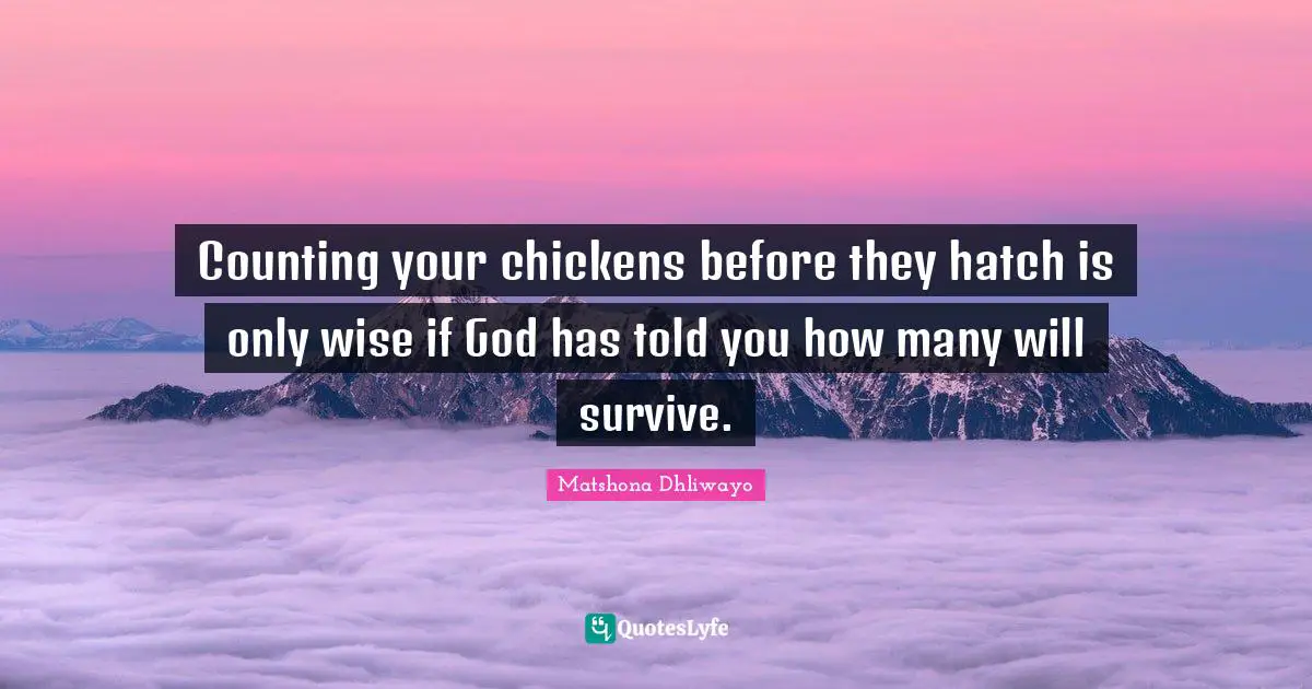 Matshona Dhliwayo Quotes: "Counting your chickens before they hatch is only wise if God has told you how many will survive."