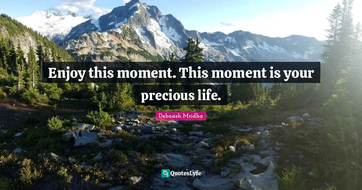 Debasish Mridha Quotes: Enjoy this moment. This moment is your precious life.