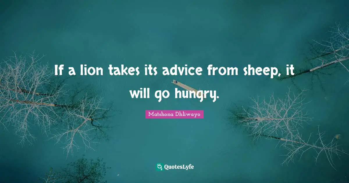 Matshona Dhliwayo Quotes: "If a lion takes its advice from sheep, it will go hungry."