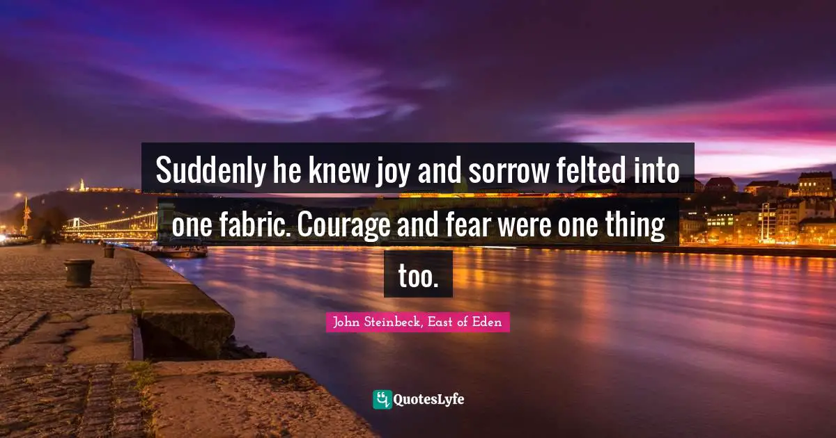 Suddenly he knew joy and sorrow felted into one fabric. Courage and fear were one thing too.