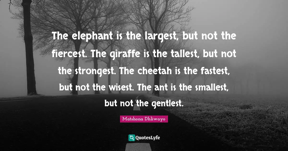 Matshona Dhliwayo Quotes: "The elephant is the largest, but not the fiercest. The giraffe is the tallest, but not the strongest. The cheetah is the fastest, but not the wisest. The ant is the smallest, but not the gentlest."