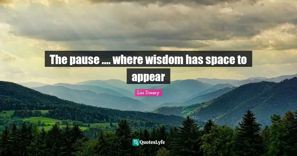 The pause .... where wisdom has space to appear