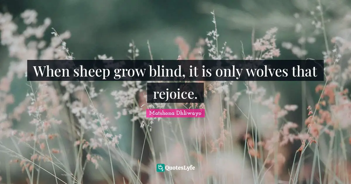 Matshona Dhliwayo Quotes: "When sheep grow blind, it is only wolves that rejoice."