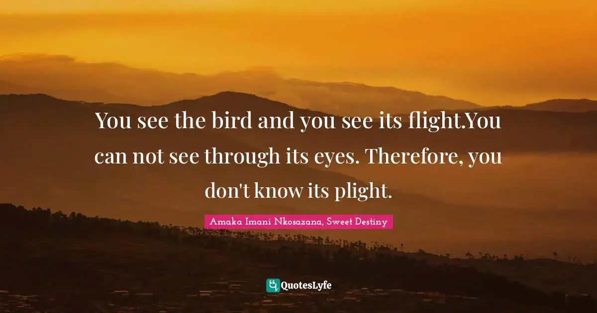 You see the bird and you see its flight.You can not see through its eyes. Therefore, you don't know its plight.