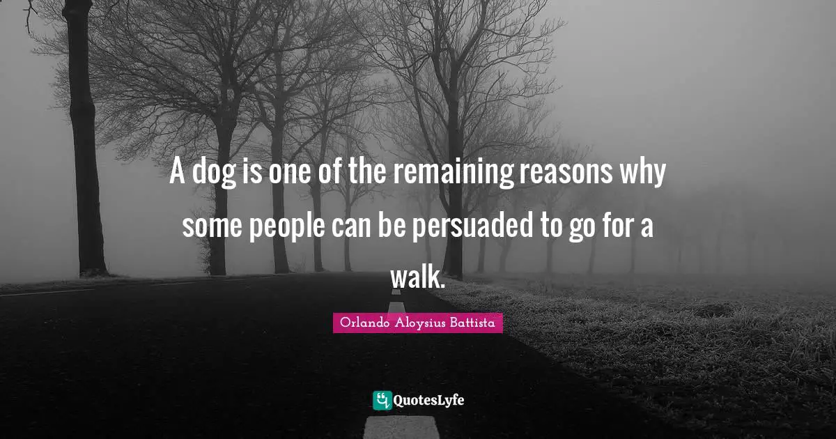 Orlando Aloysius Battista Quotes: "A dog is one of the remaining reasons why some people can be persuaded to go for a walk."