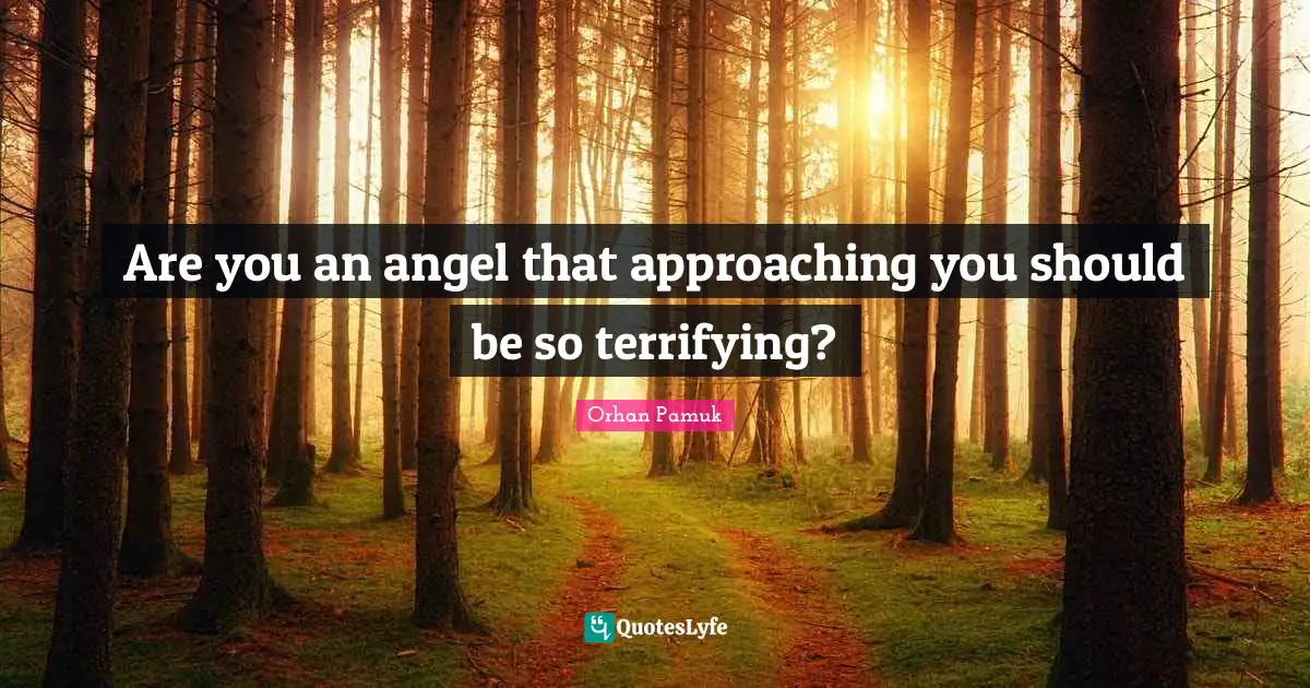Are you an angel that approaching you should be so terrifying?