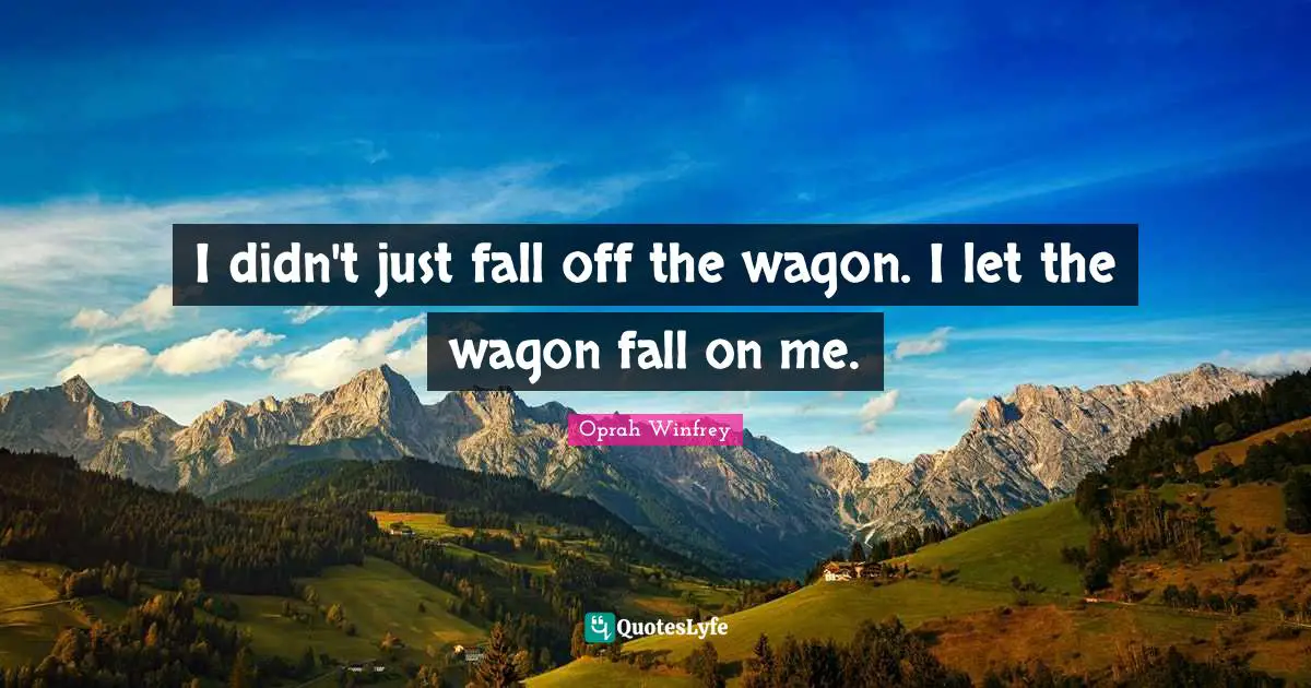 I didn't just fall off the wagon. I let the wagon fall on me.