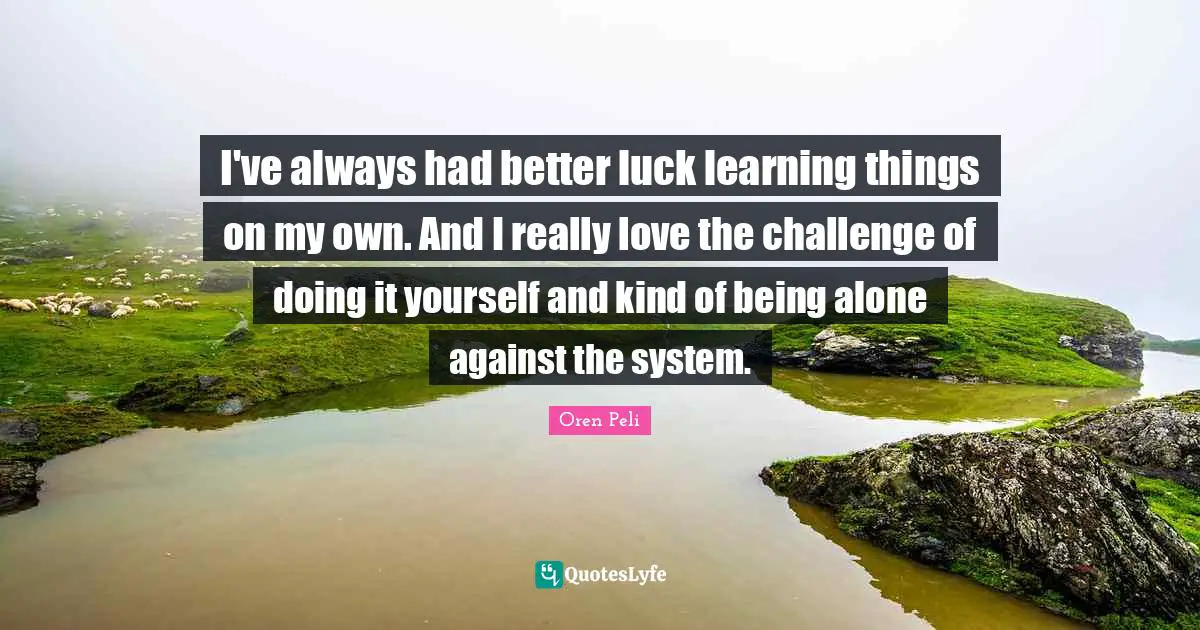 I've always had better luck learning things on my own. And I really love the challenge of doing it yourself and kind of being alone against the system.