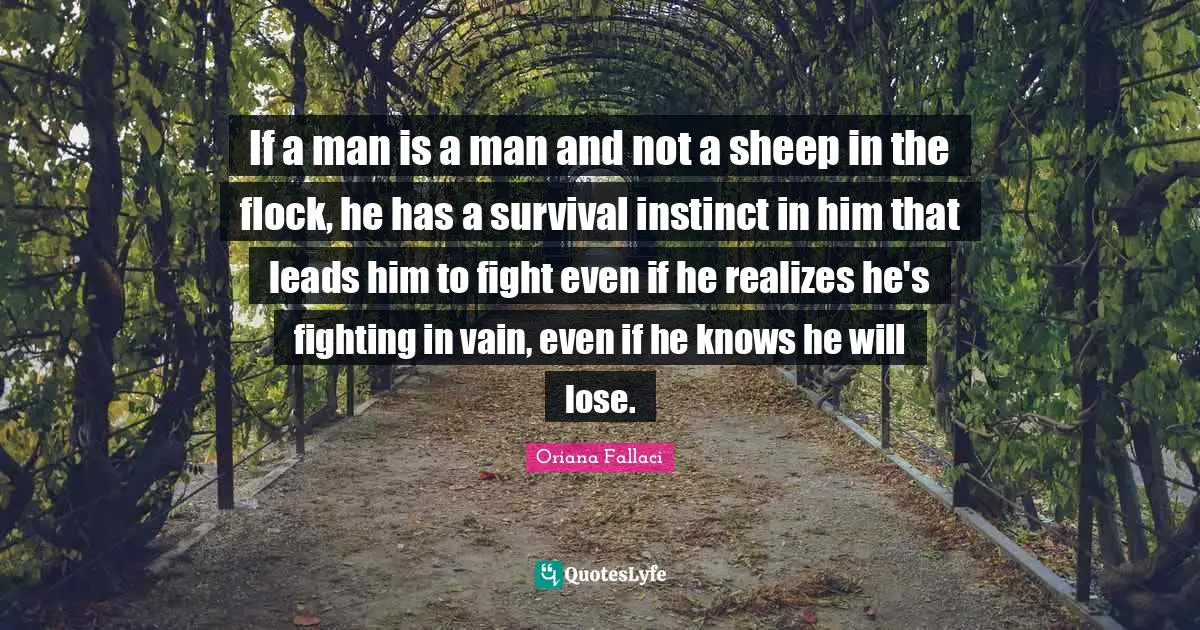 Oriana Fallaci Quotes: "If a man is a man and not a sheep in the flock, he has a survival instinct in him that leads him to fight even if he realizes he's fighting in vain, even if he knows he will lose."