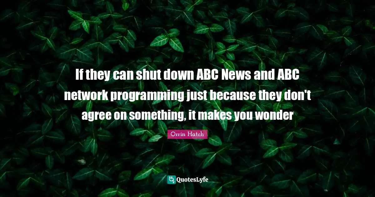 If they can shut down ABC News and ABC network programming just because they don't agree on something, it makes you wonder