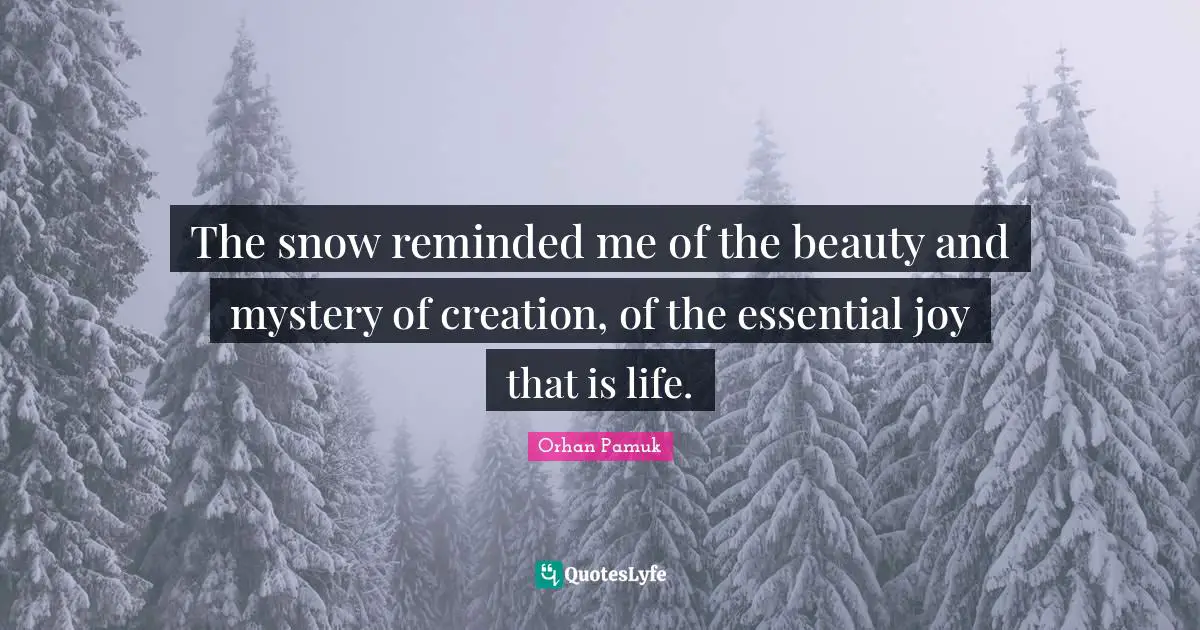 The snow reminded me of the beauty and mystery of creation, of the essential joy that is life.
