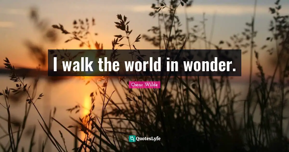 I walk the world in wonder.