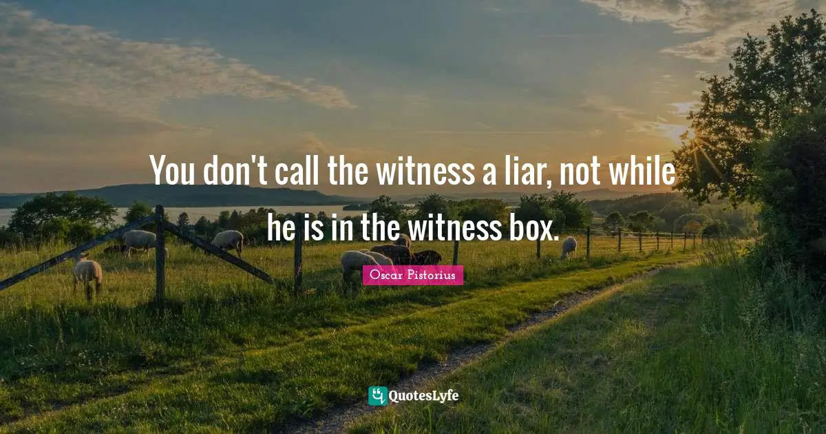 You don't call the witness a liar, not while he is in the witness box.