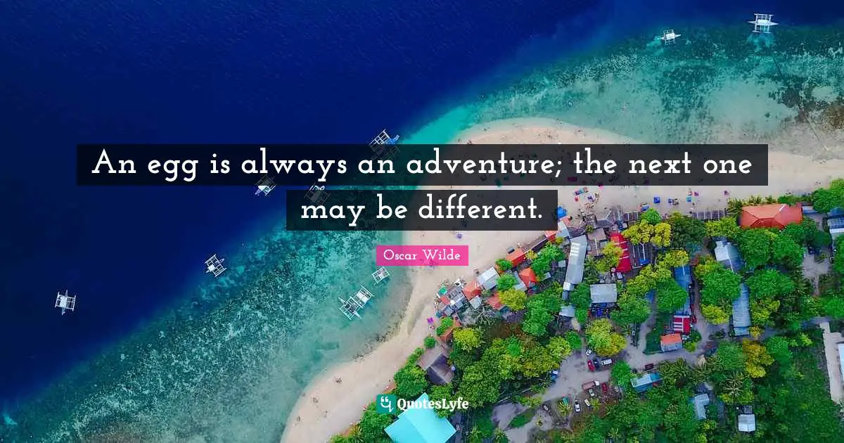 Eggs Quotes: "An egg is always an adventure; the next one may be different."