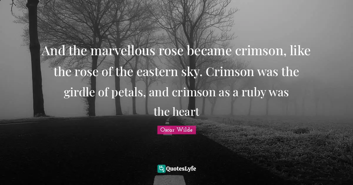 And the marvellous rose became crimson, like the rose of the eastern sky. Crimson was the girdle of petals, and crimson as a ruby was the heart