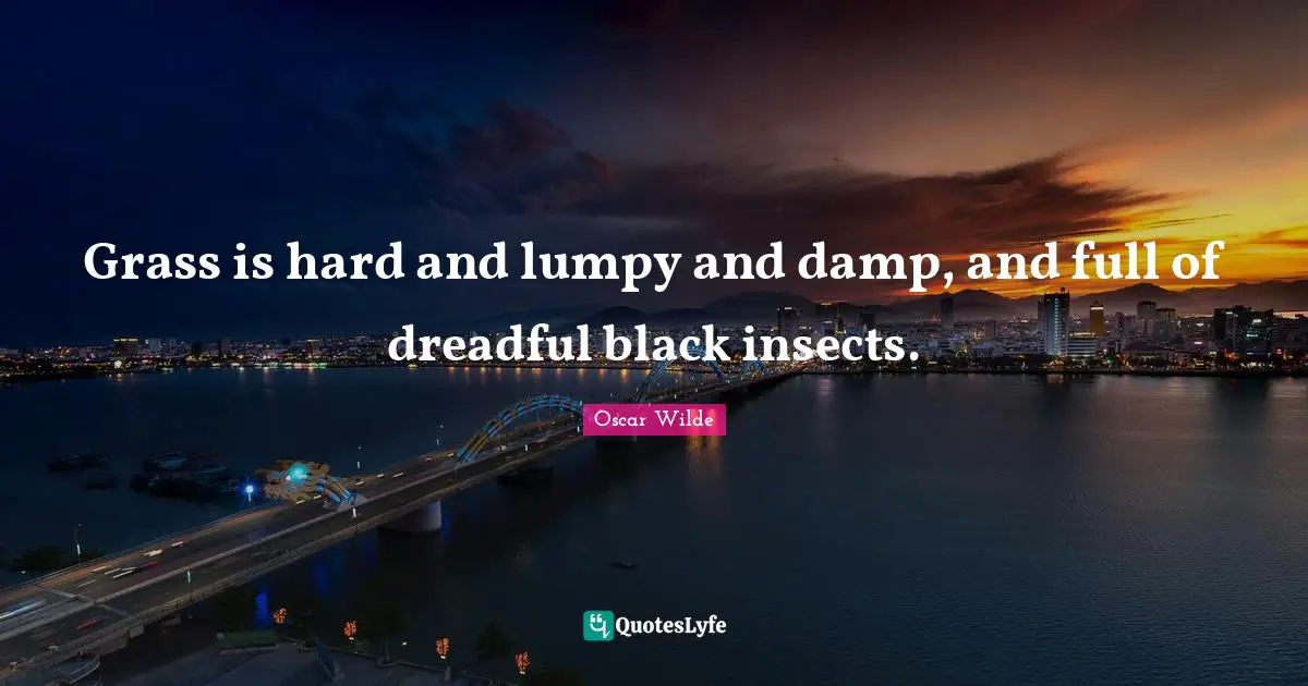 Grass is hard and lumpy and damp, and full of dreadful black insects.