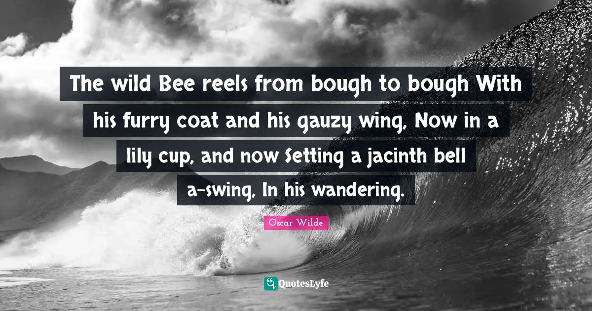 The wild Bee reels from bough to bough With his furry coat and his gauzy wing, Now in a lily cup, and now Setting a jacinth bell a-swing, In his wandering.