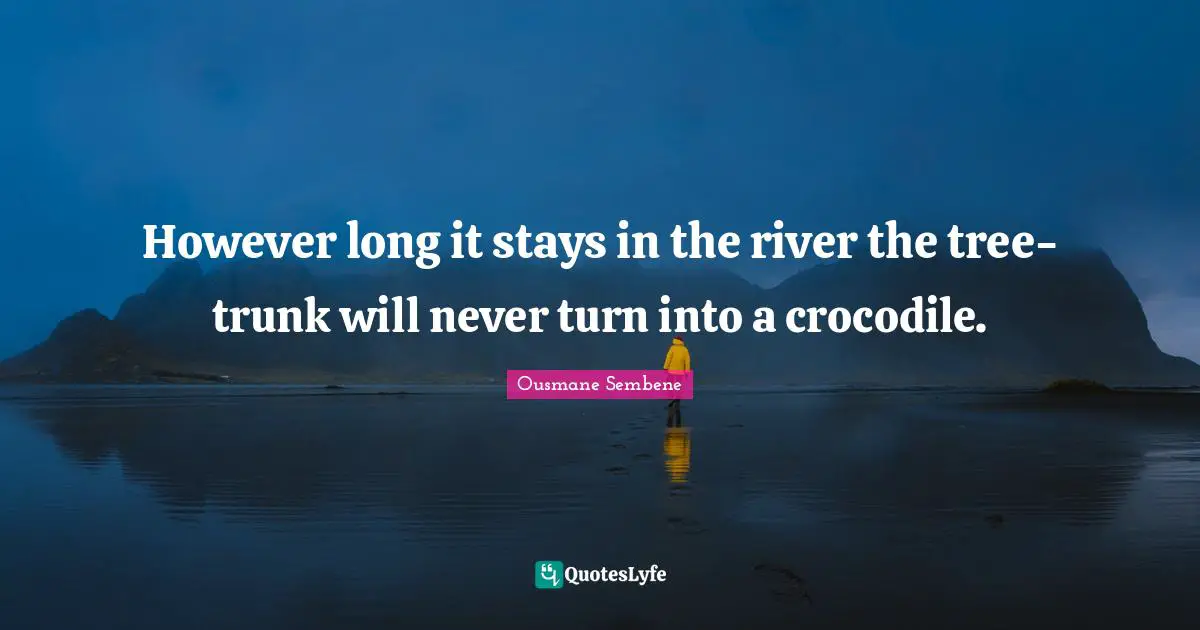 However long it stays in the river the tree-trunk will never turn into a crocodile.
