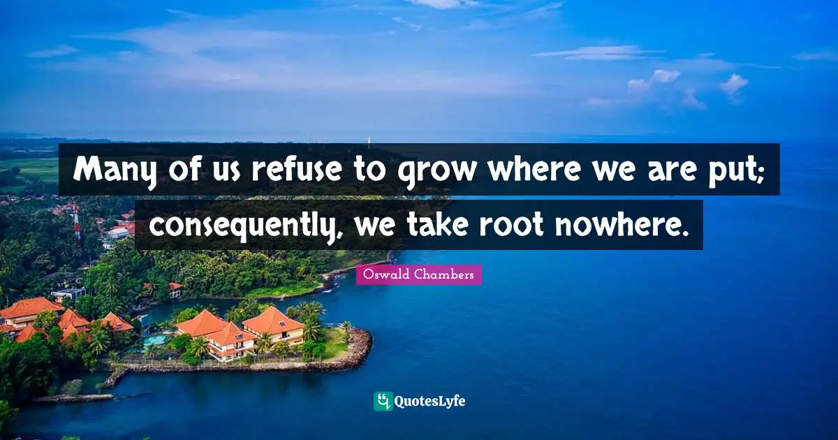 Many of us refuse to grow where we are put; consequently, we take root nowhere.
