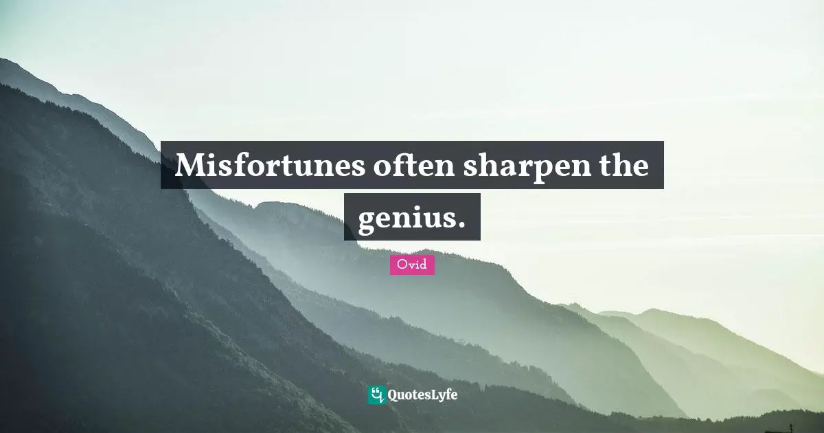 Misfortunes Quotes: "Misfortunes often sharpen the genius."