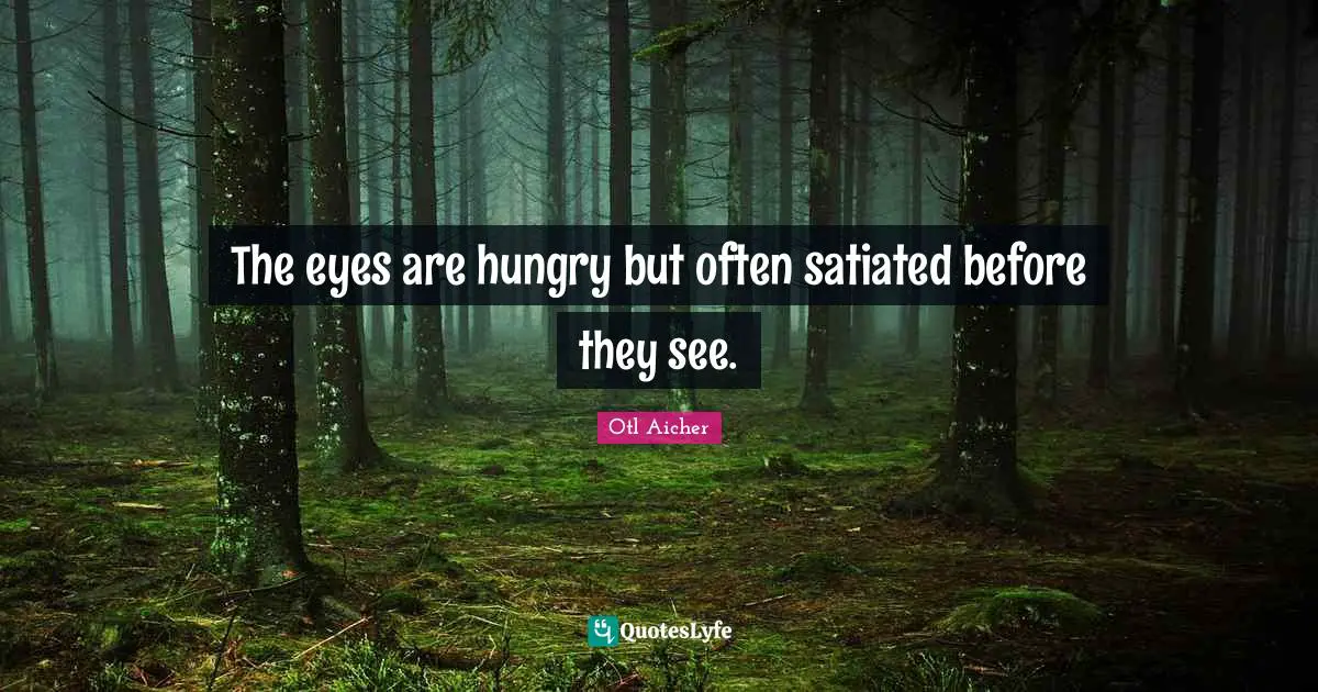 The eyes are hungry but often satiated before they see.