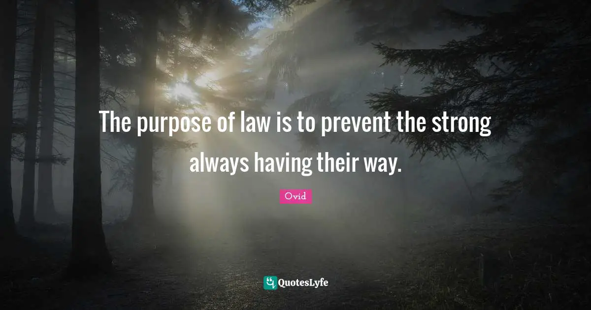 The purpose of law is to prevent the strong always having their way.