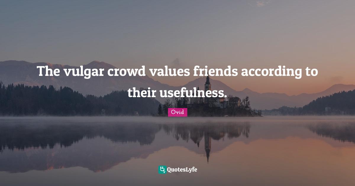 Usefulness Quotes: "The vulgar crowd values friends according to their usefulness."