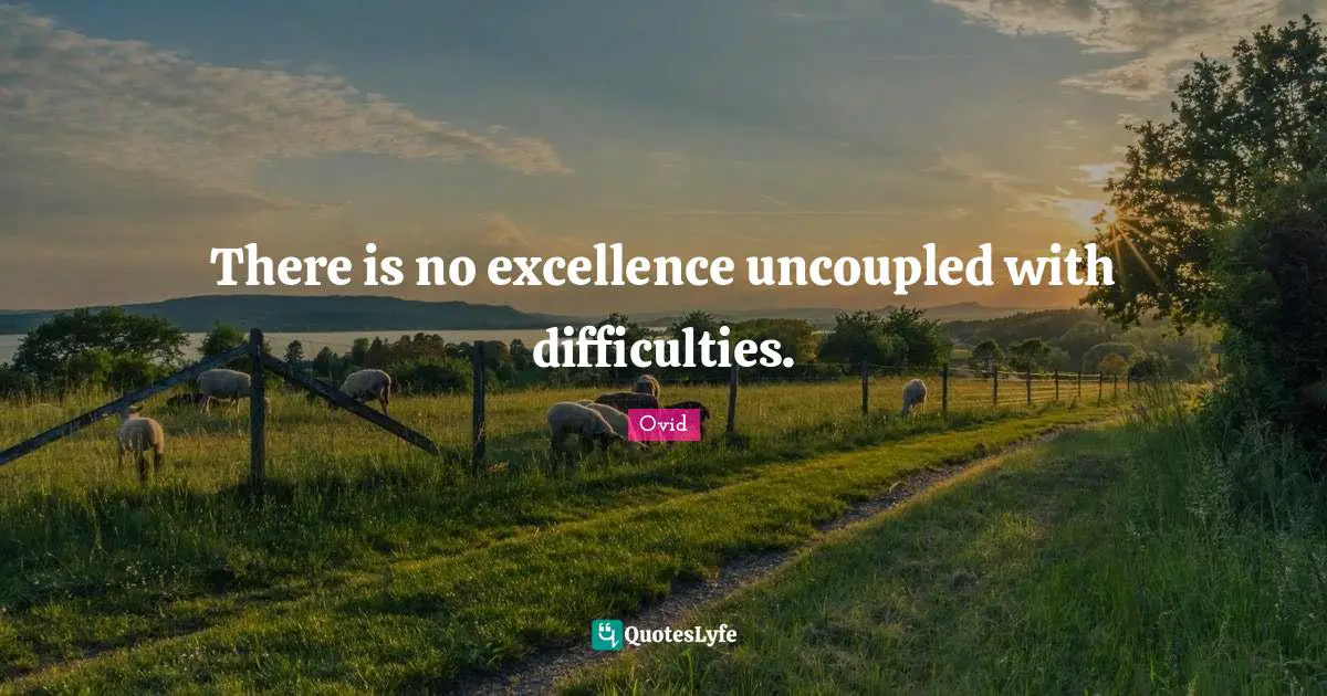 There is no excellence uncoupled with difficulties.