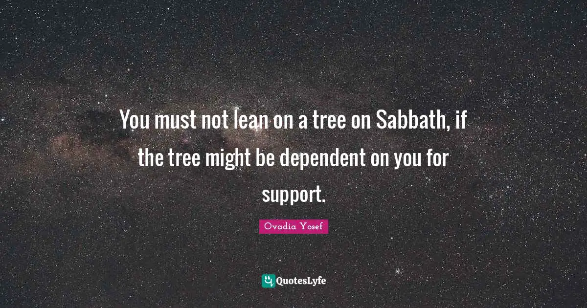 You must not lean on a tree on Sabbath, if the tree might be dependent on you for support.