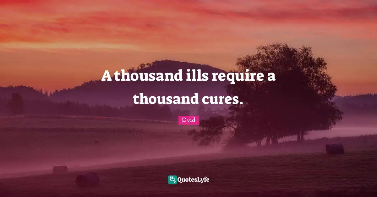 A thousand ills require a thousand cures.