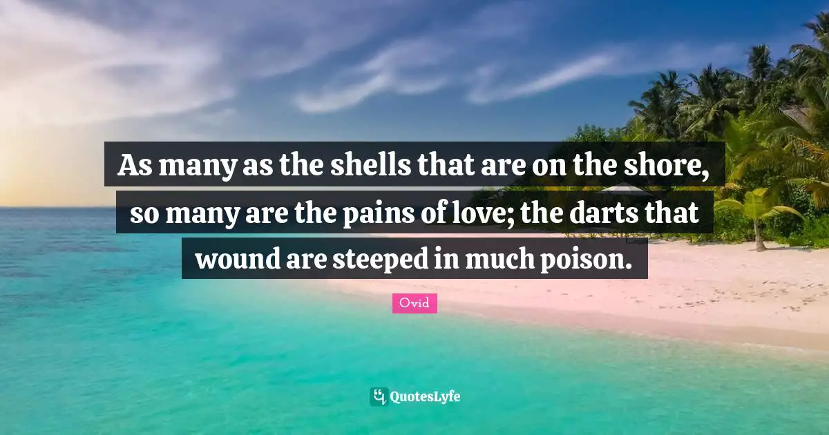 As many as the shells that are on the shore, so many are the pains of love; the darts that wound are steeped in much poison.