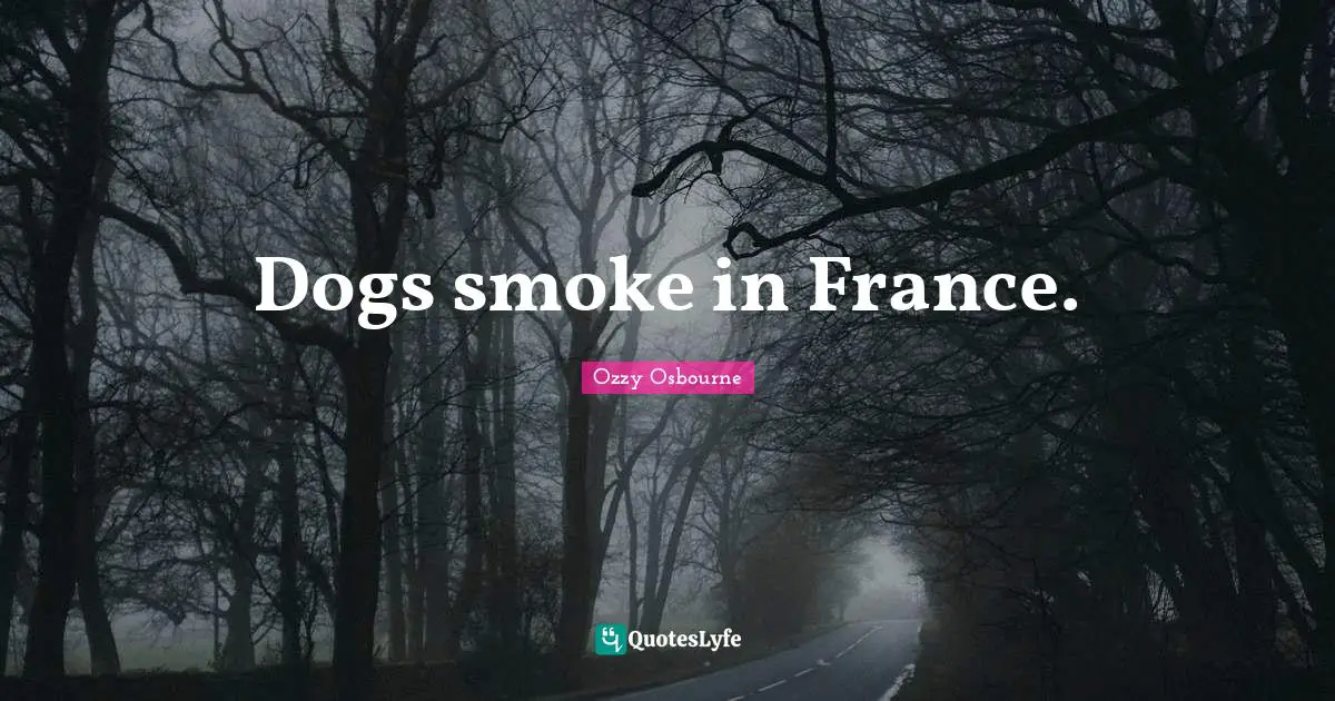Dogs smoke in France.