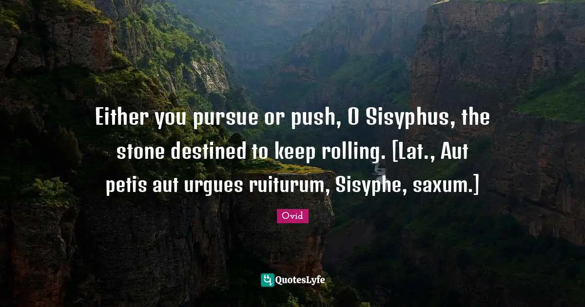 Either you pursue or push, O Sisyphus, the stone destined to keep rolling. [Lat., Aut petis aut urgues ruiturum, Sisyphe, saxum.]