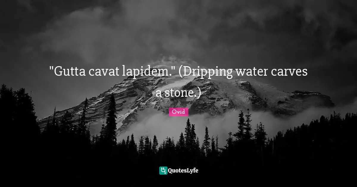 "Gutta cavat lapidem." (Dripping water carves a stone.)