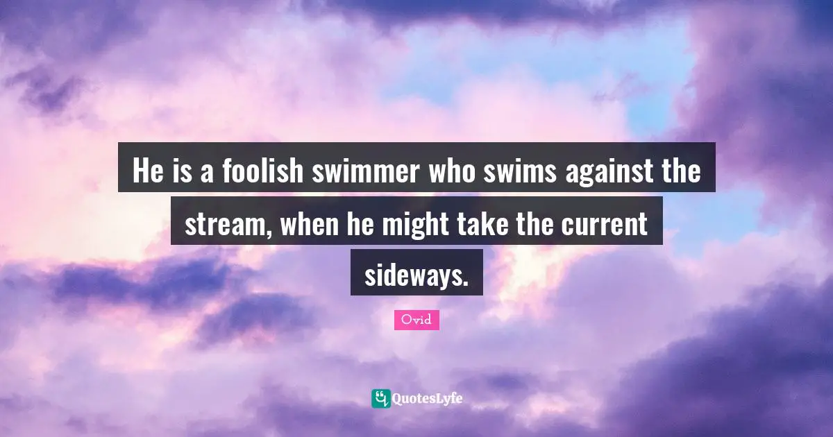 He is a foolish swimmer who swims against the stream, when he might take the current sideways.