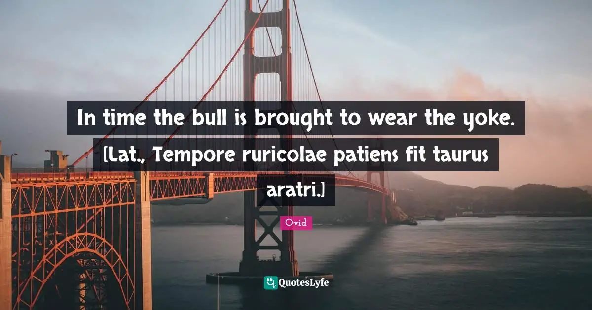 Yoke Quotes: "In time the bull is brought to wear the yoke. [Lat., Tempore ruricolae patiens fit taurus aratri.]"