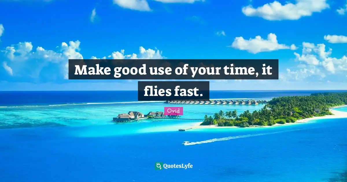 Make good use of your time, it flies fast.