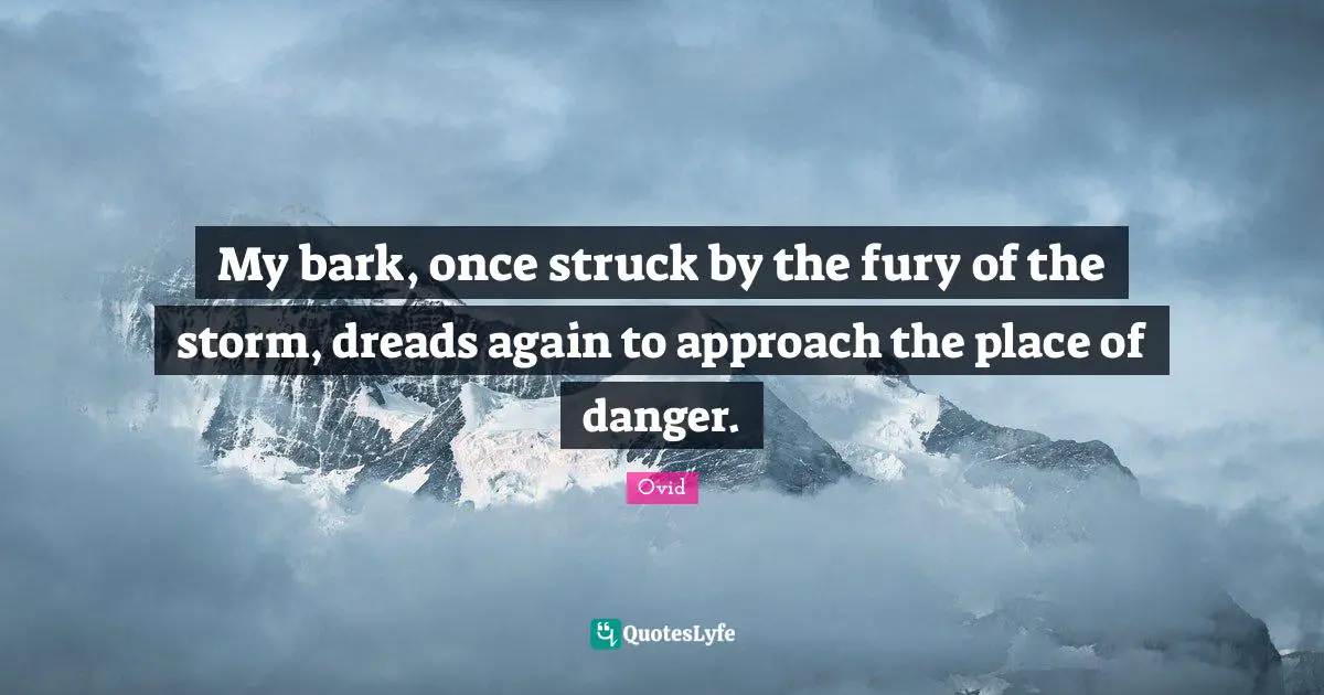My bark, once struck by the fury of the storm, dreads again to approach the place of danger.