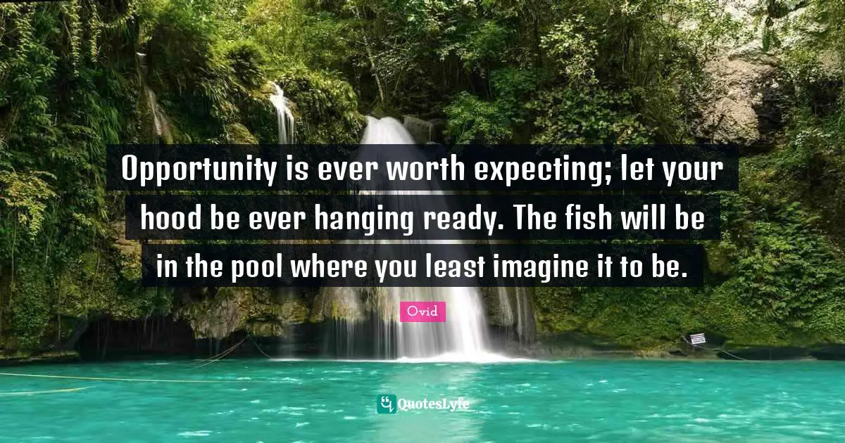 Opportunity is ever worth expecting; let your hood be ever hanging ready. The fish will be in the pool where you least imagine it to be.