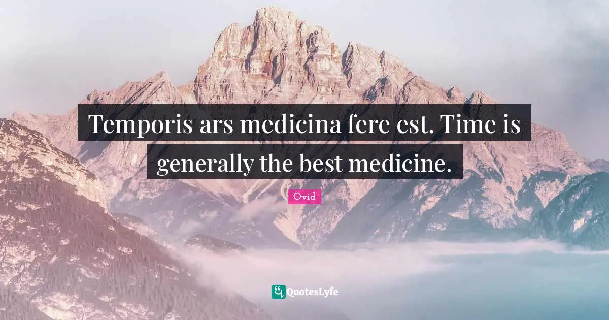Temporis ars medicina fere est. Time is generally the best medicine.